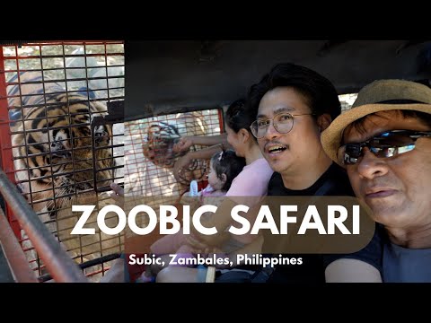 ZOOBIC SAFARI (TIGER ENCOUNTER) 2023 | The Canarias