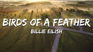 Billie Eilish - BIRDS OF A FEATHER (Lyrics)