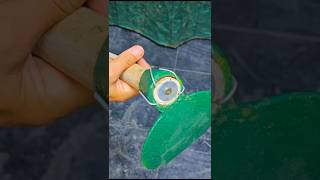 Gardening shovel repair training #diy #brokenitemsfix #brokenfix #diyfixes #automobile #diyprojects