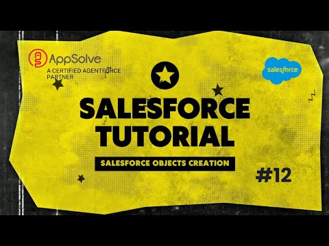 Creating Custom Objects in Salesforce | AppSolve