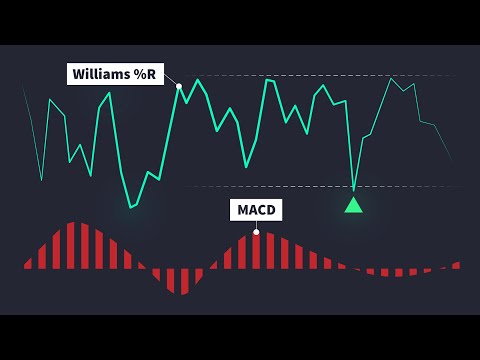 Williams R indicator & MACD - Best Indicators for 2021?