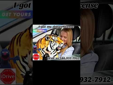 IDRIVE DRIVING SCHOOL, ENJOY THE RIDE!