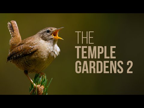 Relaxing Wind Chimes + Peaceful Music + A Heartwarming Message (see description for details)