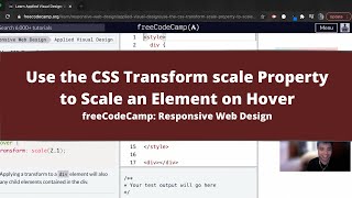 Use the CSS Transform scale Property to Scale an Element on Hover (Applied Visual Design)