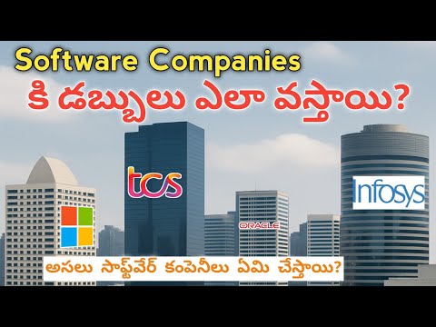 How Software Companies Makes Money And What Software Companies Do?Explained  in Telugu