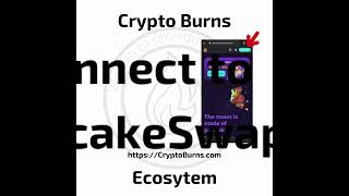 How to Buy $CBURNS Crypto Burns Tokens