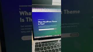 I was looking for this for months… #kinsta #hosting #wordpress #theme #webdesign #wordpressguru #wo