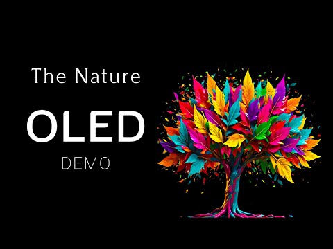 OLED Demo HDR 8K Ultra HD 60fps l The Nature
