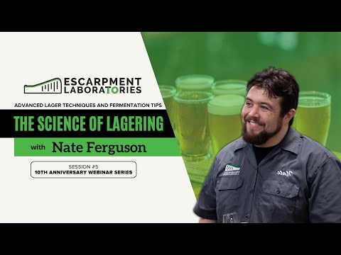 Advanced Lager Techniques: The Science of Brewing Lagers