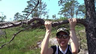 HOW TO BE PHYSICALLY FIT - FOR CHEAP GOATS