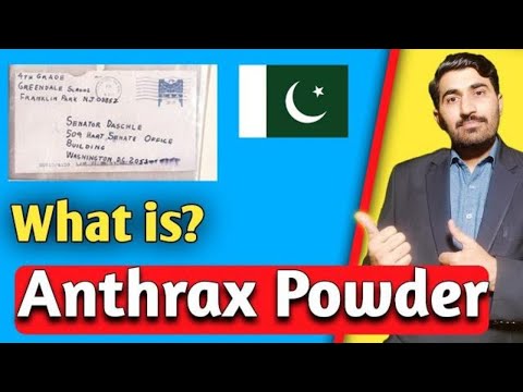 What is anthrax and why is it considered dangerous? | BNN Documentary