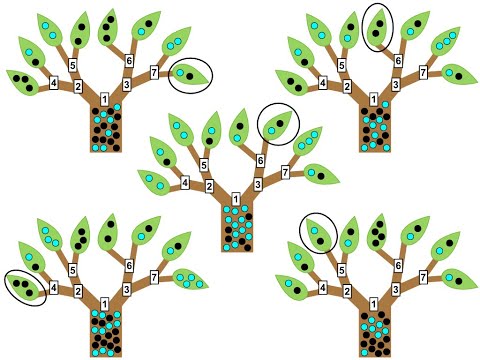 Ensemble Methods and Random Forests: An Introduction