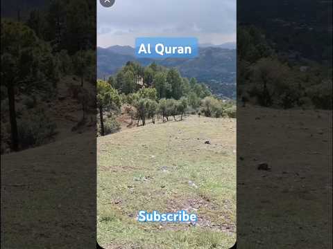 SURAH AL FATHIA #shorts #shortsfeed #quran #islam #youtubeshort