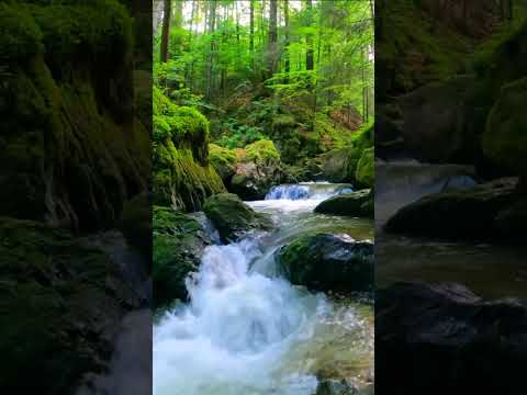 TikTok Tổng Hợp. Những Bài Podcast Hay Giúp Bạn Dễ Chìm Vào Giấc Ngủ.#podcast #podcasts #motivation