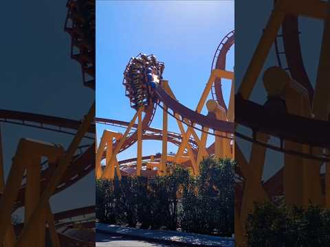 Chupracabra at Six Flags Fiesta Texas