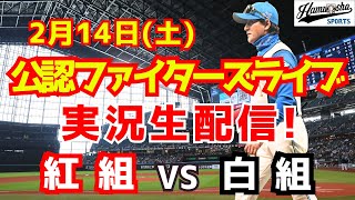 【ファイターズライブ】北海道日本ハムファイターズ 紅白戦 2/14 【ラジオ調実況】