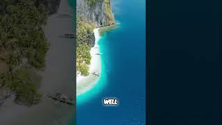 AI Graphics: Turn Your Skills Into a Thriving Tutoring Business! #shorts