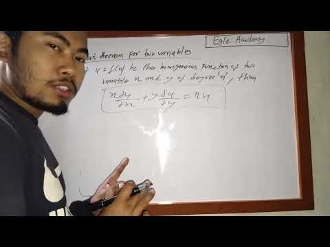 Euler two independent variables condition based on homogeneous function.