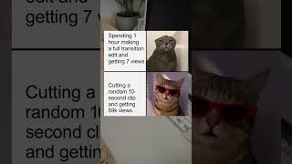 When Editing Logic Makes No Sense  #MemeCats #EditingProblems #ViralMeme #Shorts #FunnyEditing