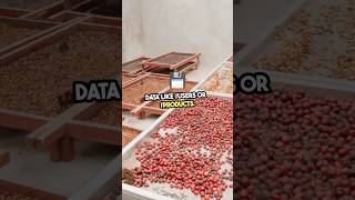 Master RESTful API Design Principles!