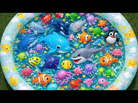 Ocean Animals for Kids 🐳 Learn Sea Animal Names with Fun Toys