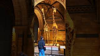 National history museum
