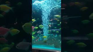 #indiapakistantensions