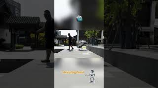 🛒💻 Cyber shopping with my #Deeprobotics robo-dog. Who needs carts? #robotdogs #cyberlife