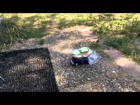 Drone delivery
