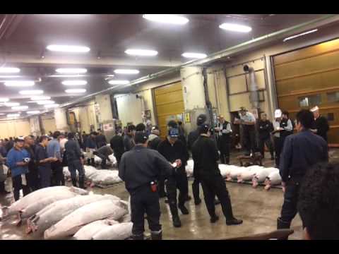 video 2011 10 14 06 01 58