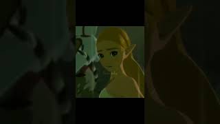 Link Edit | Hyrule Warriors #edit #zeldabreathofthewild #link #hyrulewarriors