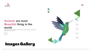 How to Make Image Gallery In Website Using HTML & CSS | HTML CSS Website Design