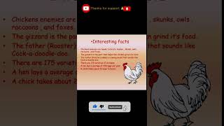 #chicken #benefits #beyondthebasics