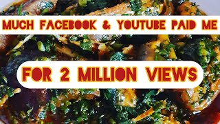 “How Much Youtube & Facebook Paid Me For 2 Million Views Using My Phone”