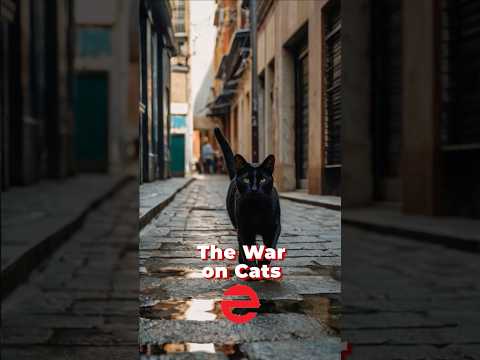 The War on Cats | That Nearly Destroyed Europe