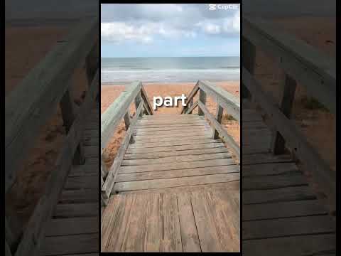 This paradise is my HOME #floridarealtor 