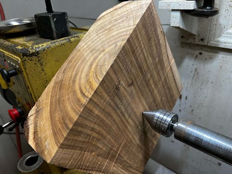 Turning a Mystery Acacia — Could This Be Hawaiian Koa?