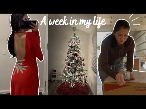 A Week In My Life: Grad School, Moving, Putting up Christmas Decorations