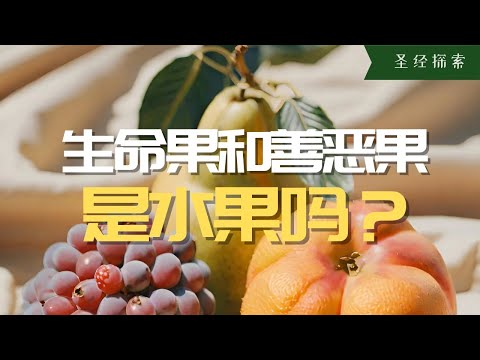【聖經科普】‘人類’眼中的‘生命果，善惡果’與‘神’眼中的‘生命果，善惡果’有什麼不同？
