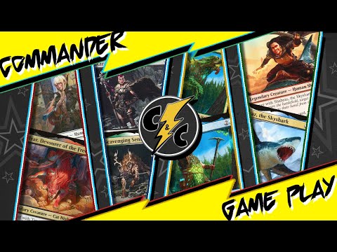 Commander 2020: Partner Showdown!