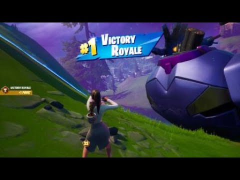 Fortnite Wild Wednesday Win