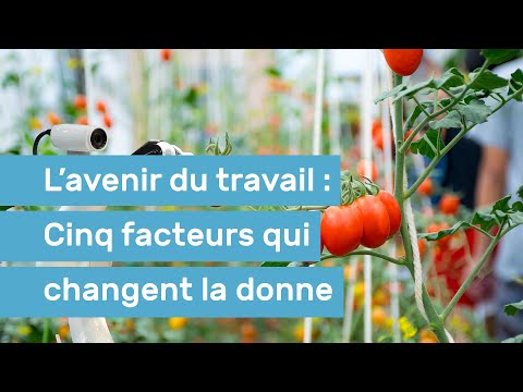 L’avenir du travail : Cinq facteurs qui changent la donne - Survol