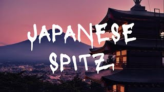 Japanese Spitz- Yeki (Lyrics)