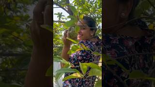 Finding my happiness in trees 🌲 #nature #greenary #peace #sustainable #nopollution #ecofriendly