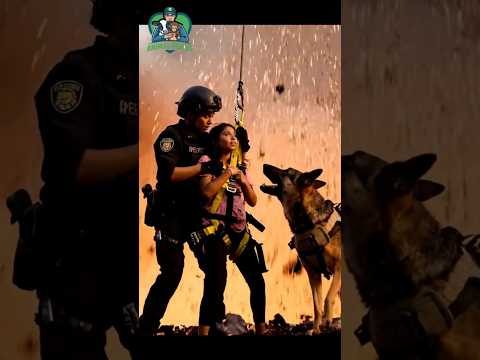 Police K9 Saves Hundreds at the School High-Rise #dog #saves