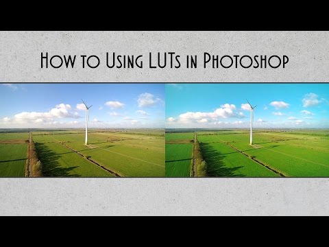 How to Using LUTs in Photoshop