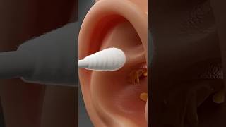 Why You Should Stop Using Q-Tips 👂#earwax #qtips #health #3danimation #fyp