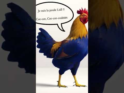 La poule Lidl 🤣