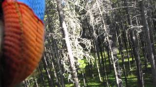 Cypress Hills Eco-Adventures Zip-Line