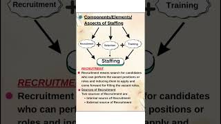 Easynotes class 12 Chapter 6 Staffing #easynotes#businessstudies#staffing#staffingprocess#class12